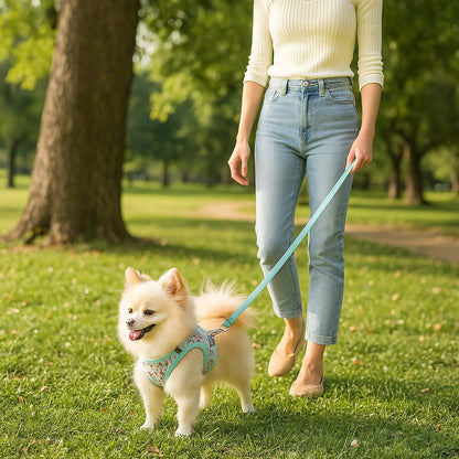 Harnais petit chien | Éclat-Floral™ - Jappy Toutou