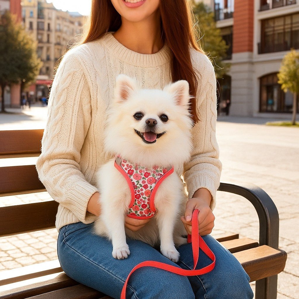 Harnais petit chien | ÉclatFloral™ - Jappy Toutou