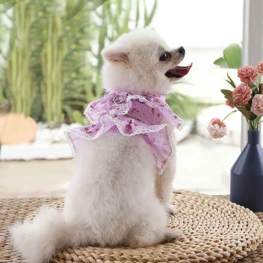 Harnais petit Chien | Joie petite Patte™ - Jappy Toutou