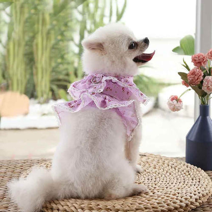 Harnais petit Chien | Joie petite Patte™ - Jappy Toutou