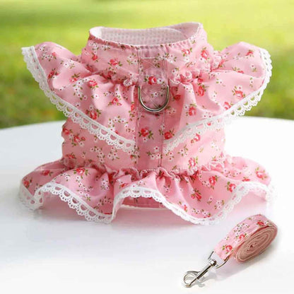 Harnais petit Chien | Joie petite Patte™ - Jappy Toutou