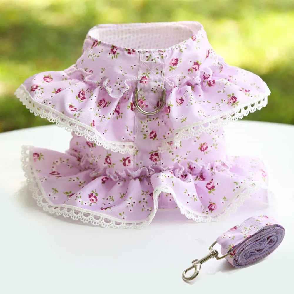 Harnais petit Chien | Joie petite Patte™ - Jappy Toutou