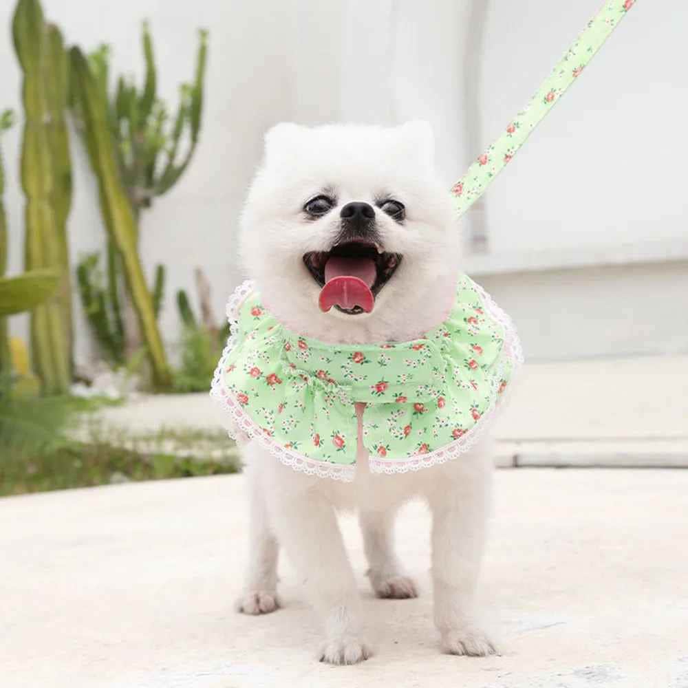 Harnais petit Chien | Joie petite Patte™ - Jappy Toutou
