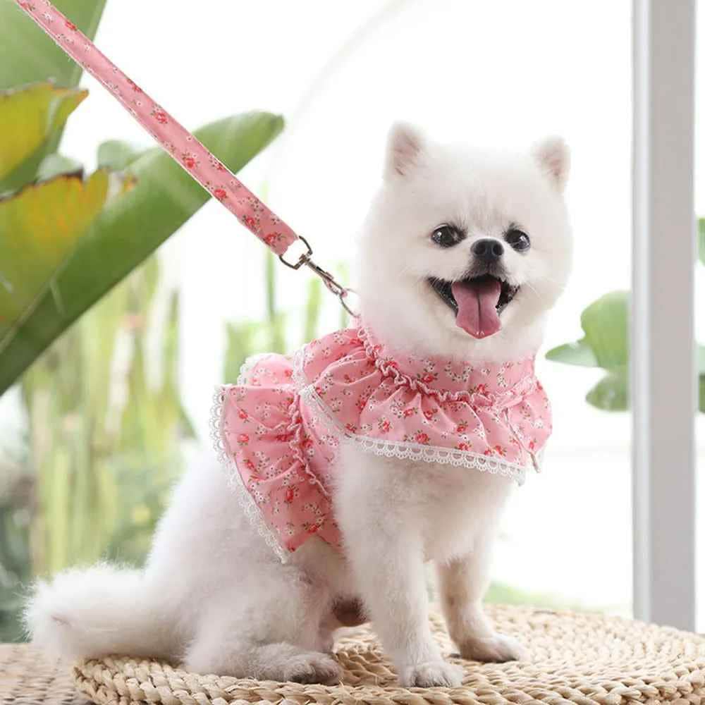 Harnais petit Chien | Joie petite Patte™ - Jappy Toutou
