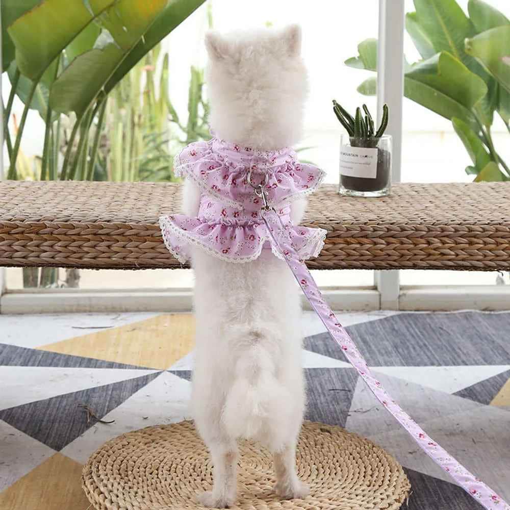 Harnais petit Chien | Joie petite Patte™ - Jappy Toutou