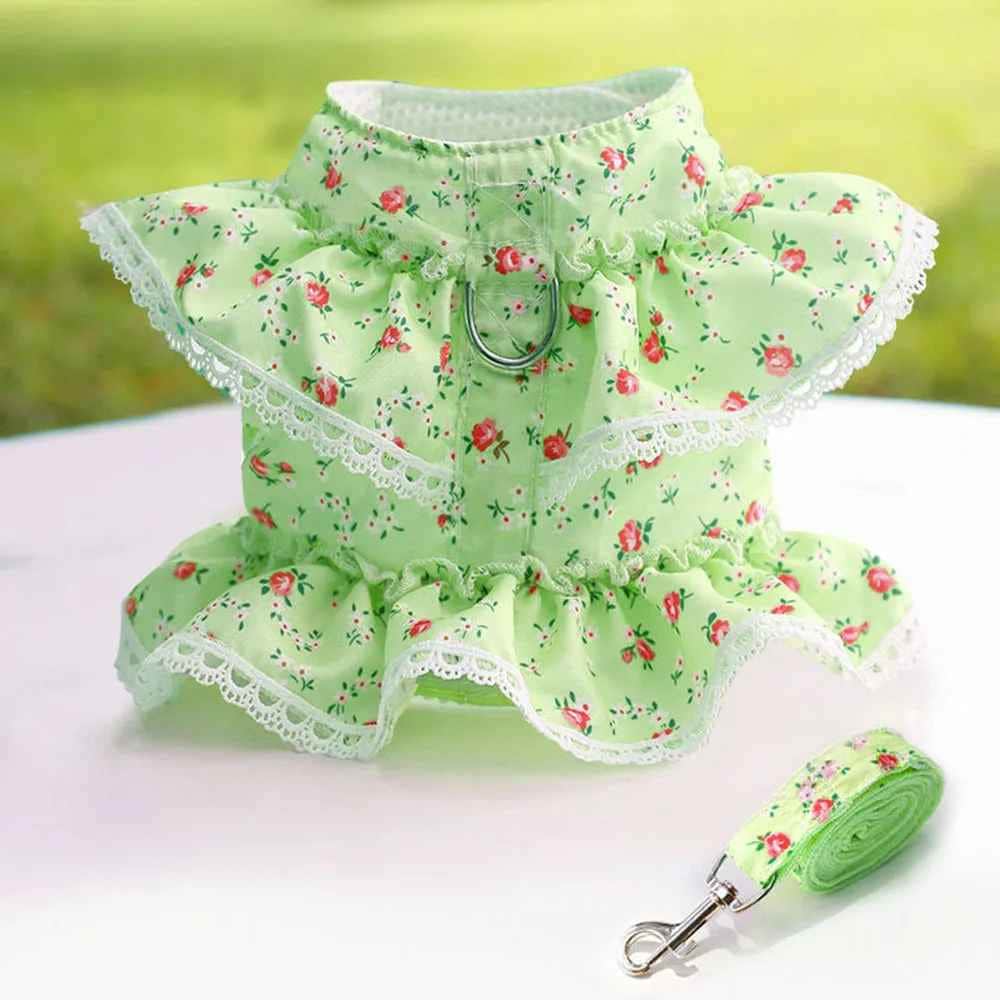 Harnais petit Chien | Joie petite Patte™ - Jappy Toutou