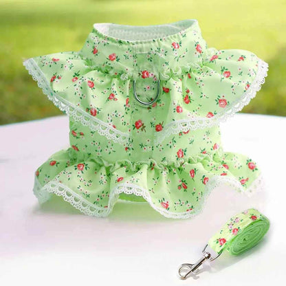 Harnais petit Chien | Joie petite Patte™ - Jappy Toutou