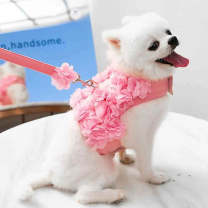 Harnais petit Chien | Joie petite Patte™ Anti-Traction - Jappy Toutou