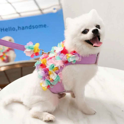 Harnais petit Chien | Joie petite Patte™ Anti-Traction - Jappy Toutou