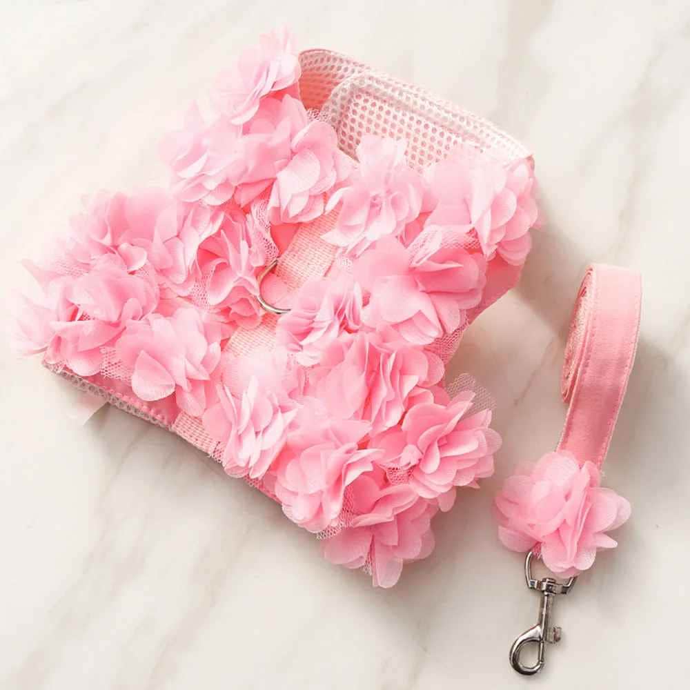 Harnais petit Chien | Joie petite Patte™ Anti-Traction - Jappy Toutou