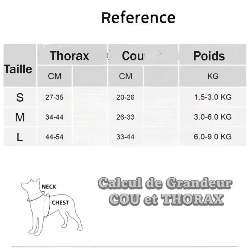 Charte des tailles