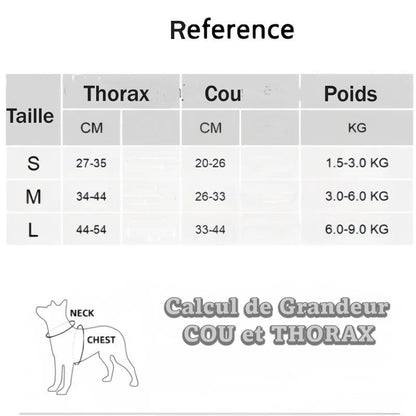 Charte des tailles
