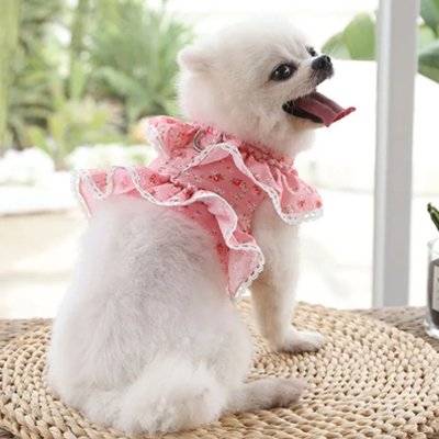 Harnais petit Chien•Joie petite Patte™ : Système d'attache intégré