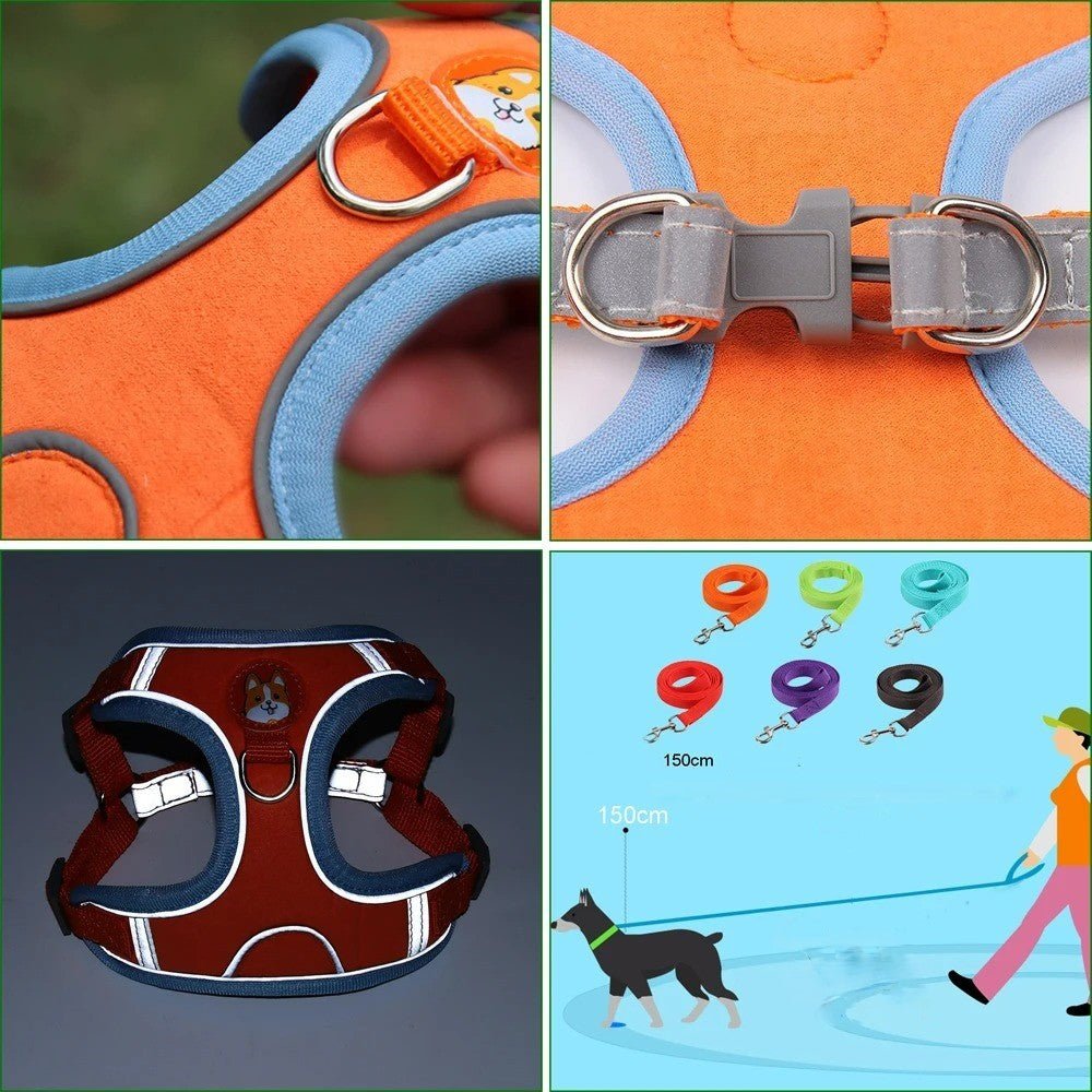 Harnais pour chien anti traction, Promenades Sereines, Solution Idéale - www.JappyToutou.com