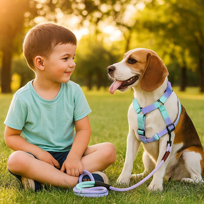 Harnais pour chien - CaniConfort™ : confort et sécurité au quotidien - Jappy Toutou