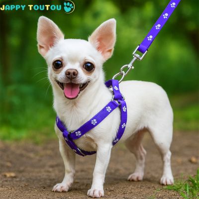 Harnais pour Chien | CaniGo™ - Jappy Toutou