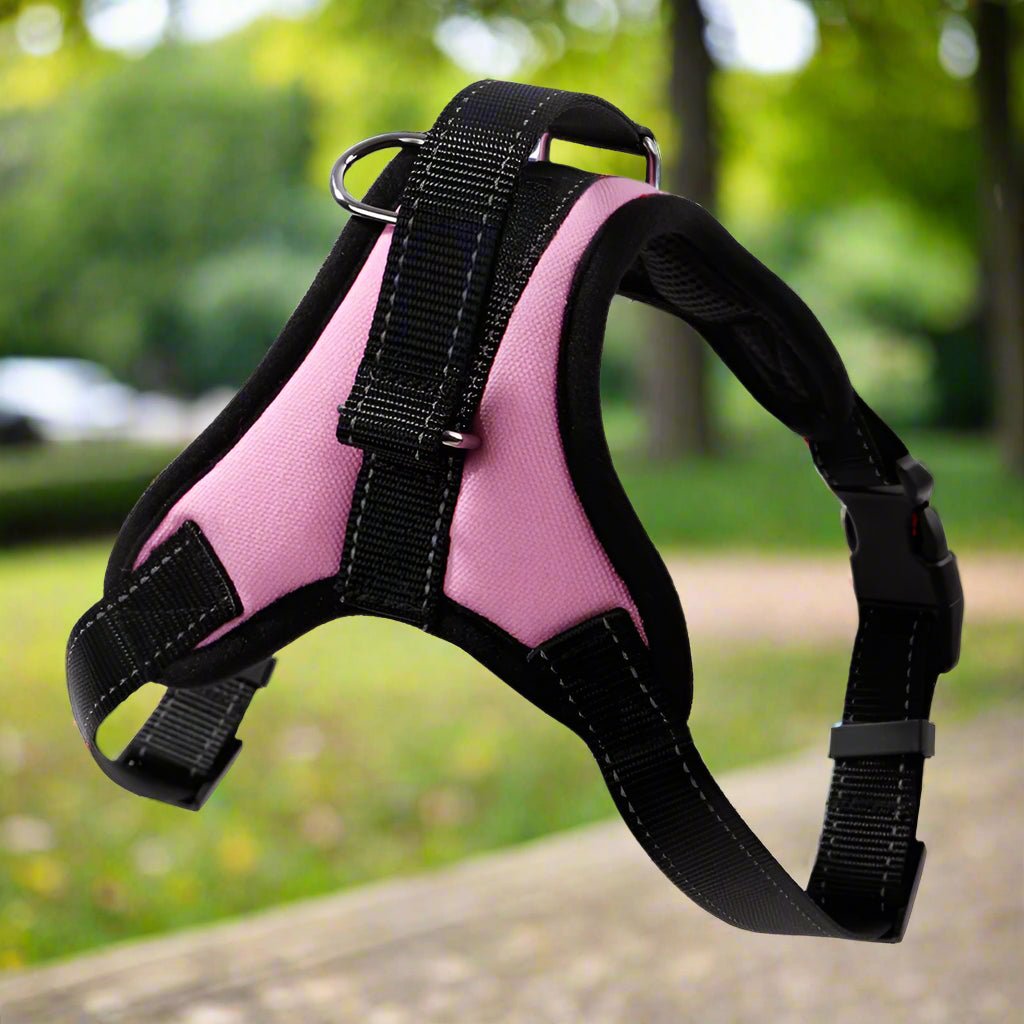 Harnais pour chien - CaniParcours2™ pour chiens, actifs - Jappy Toutou