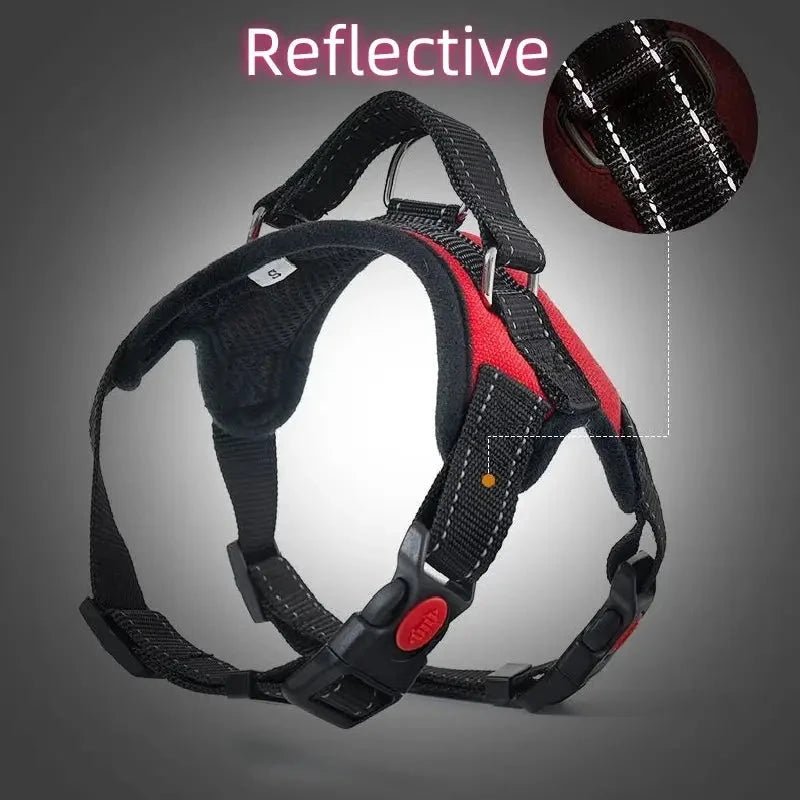 Harnais pour chien - CaniParcours™ Rouge- JappyToutou