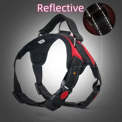 Harnais pour chien - CaniParcours™ Rouge- JappyToutou