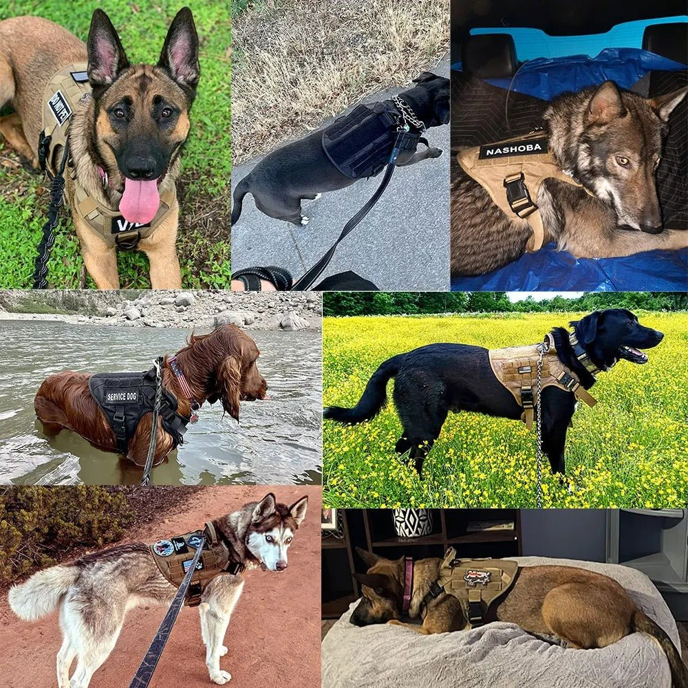 Harnais pour chien Conforto™ : Ajustement, Adaptabilité Parfaite - www.JappyToutou.com