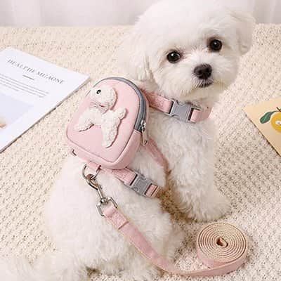 Harnais pour chien | JappyPup'Chic™ Anti - Traction - Jappy Toutou
