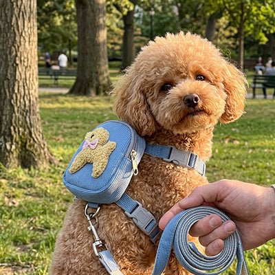 Harnais pour chien | JappyPup'Chic™ Anti - Traction - Jappy Toutou