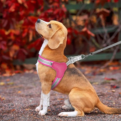 Harnais pour chien - Trot'Toutou™ : Confort, sécurité pour votre fidèle compagnon - Jappy Toutou