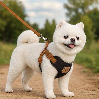 Harnais pour petit Chien | Nounourse confort - Jappy Toutou