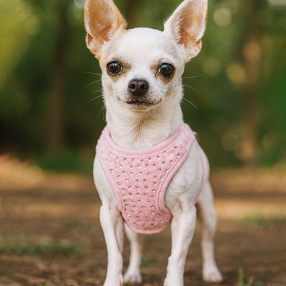 Harnais pour petit chien | PetComfort™ Rose - Jappy Toutou