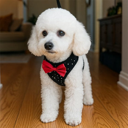 Harnais pour petit chien | PetComfort™ noir - Jappy Toutou