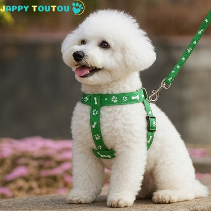 Harnais pour petit Chien - Puppy Trot™ résistante, confortable, sécurisée, une promenade en toute sérénité