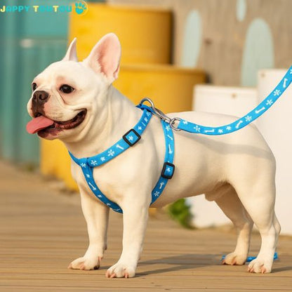 Harnais pour petit Chien - Puppy Trot™ - Jappy Toutou