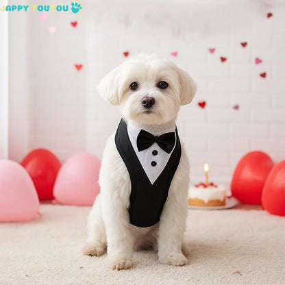 harnais chien-ConfoFestif™-tuxedo - 