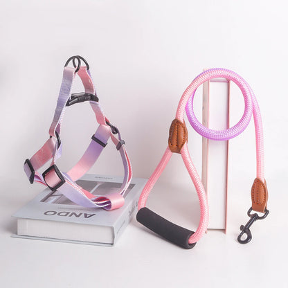 harnais pour chien - CaniConfort™ devient un rituel positif qui renforce votre lien 