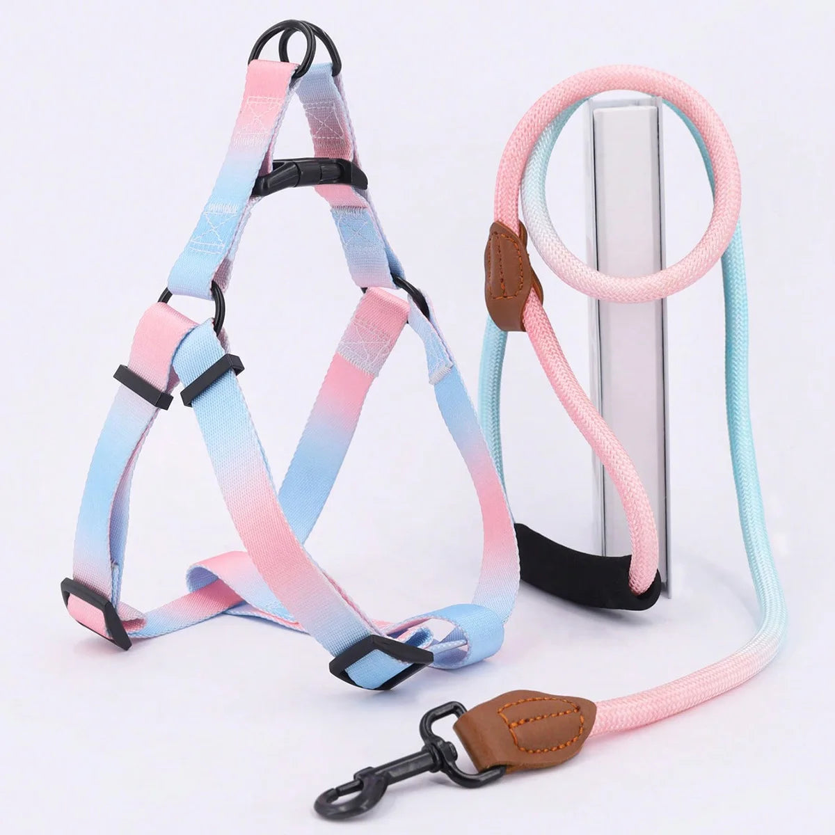 harnais pour chien - CaniConfort™ devient un rituel positif qui renforce votre lien 