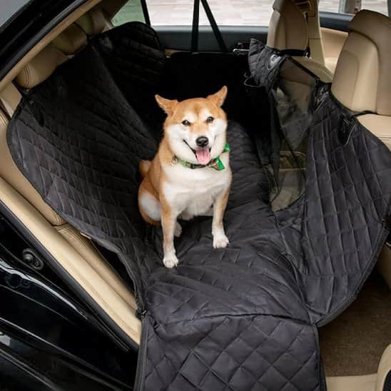 Housse voiture chien | Caniprotect™ - Jappy Toutou