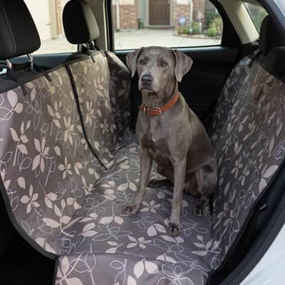 Housse voiture chien | JappyProtect -Tout™ - Jappy Toutou