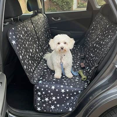 Housse voiture chien | JappyProtect2Tout™ - Jappy Toutou