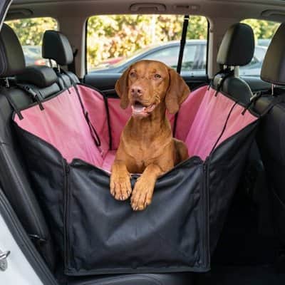 Housse voiture chien | JappyProtection-Tout2™ - Jappy Toutou
