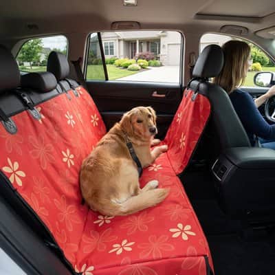 Housse voiture chien | JappyProtectTout3™ - Jappy Toutou