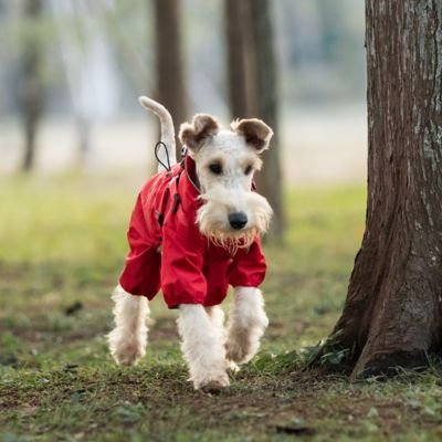 imperméable pour chien WoofRainCoat2™
Un allié pour toutes les aventures