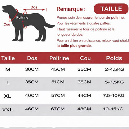 Imperméable chien | JappyCityDry™ - Jappy Toutou