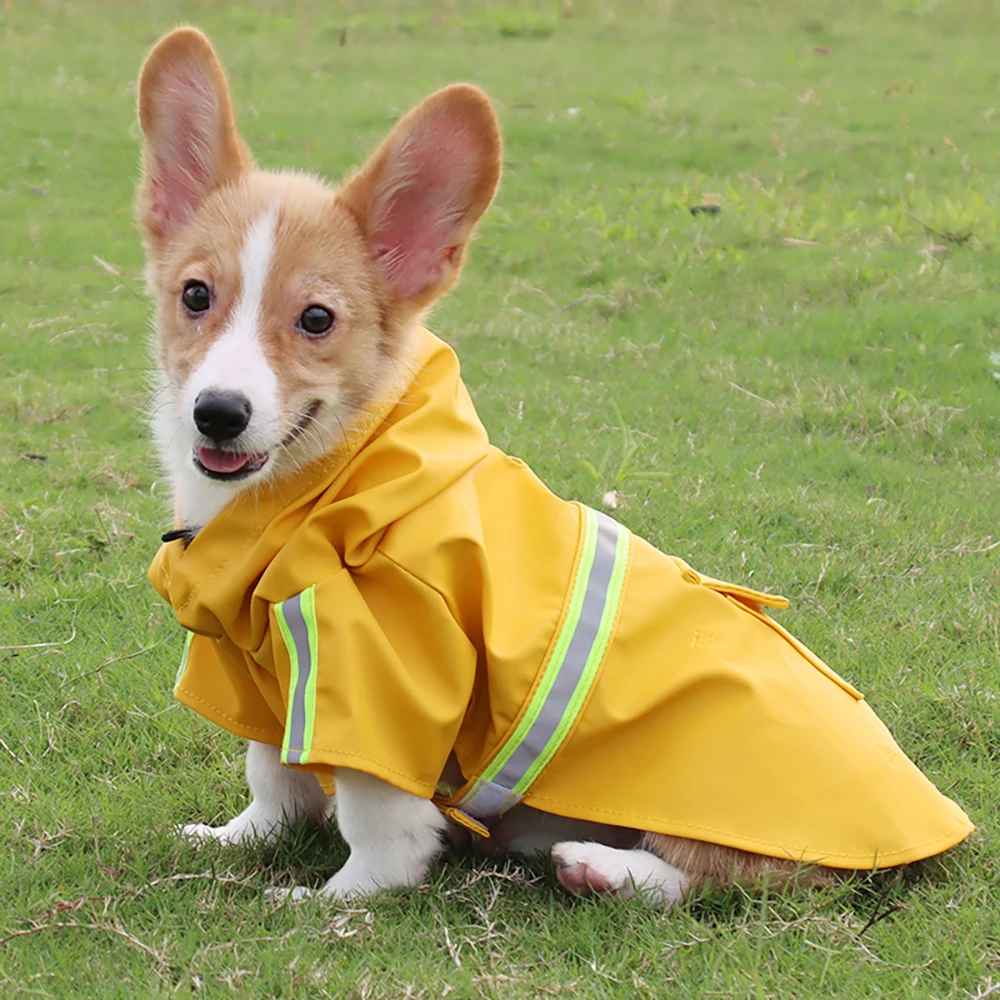 Imperméable pour chien | Haute Visibilité - Jappy Toutou