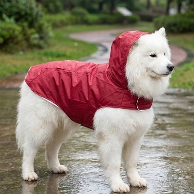 Imperméable pour chien • JappyAqua Guard™ - Jappy Toutou
