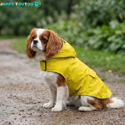 Imperméable pour chien • JappyAqua Guard™ - Jappy Toutou