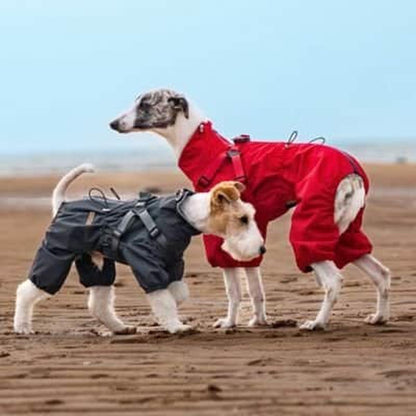 Imperméable pour chien | Protection WoofRaincoat™ - Jappy Toutou