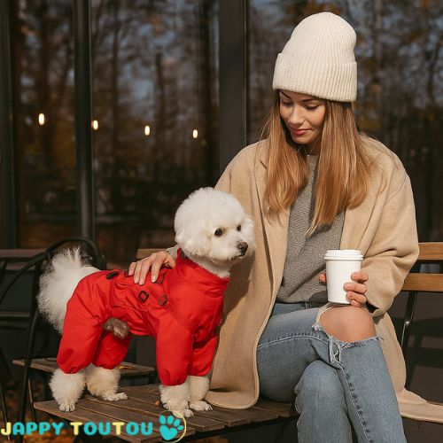 Imperméable pour chien | Protection WoofRaincoat™ - Jappy Toutou