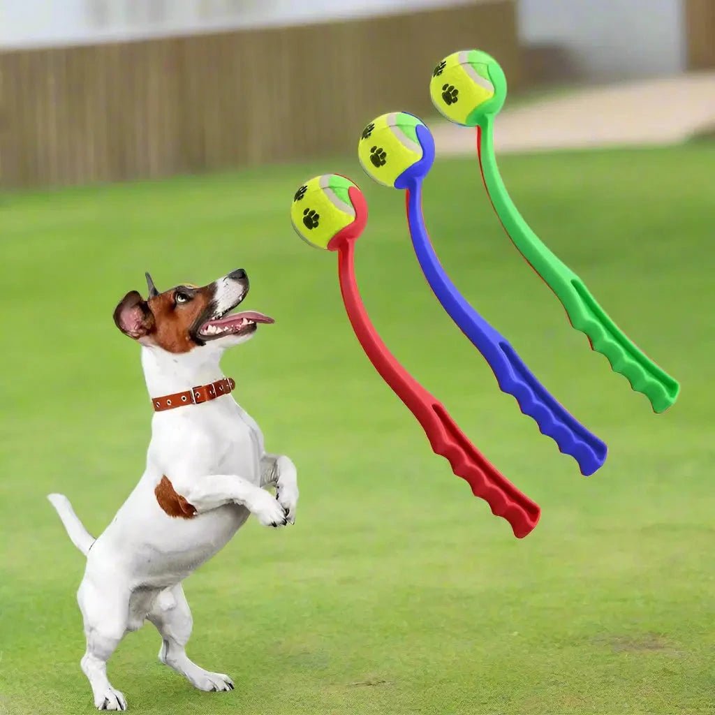 Jouet chien - BalleStorm™: lanceur de balles - Jappy Toutou