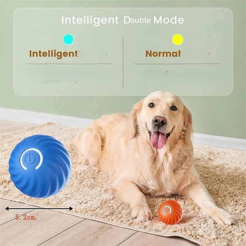 Jouet chien | BalleToc™ balle interactive - Jappy Toutou