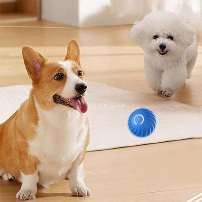 Jouet chien | BalleToc™ balle interactive - Jappy Toutou